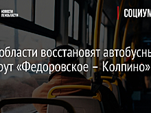 В Ленобласти восстановят автобусный маршрут «Федоровское – Колпино»