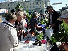 Ярмарка «Покупай ангарское» прошла в городе нефтехимиков