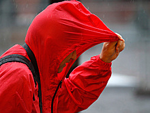 В Москве сохранится штормовая погода, к вечеру ветер усилится