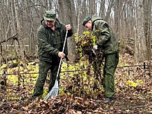 В Саранске активисты убрали могилы жертв репрессий перед Днем народного единства