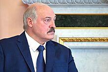 Президент Беларуси совершит рабочую поездку в Брестскую область