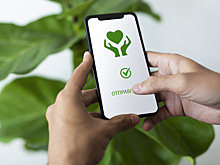 Эксперты объяснили, кого и как спасают регулярные благотворительные платежи