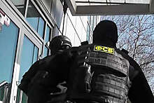 ФСБ заявила о разгроме в Петербурге законспирированной ячейки террористов из РДК