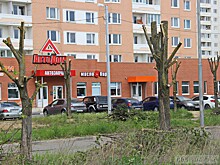 Конфликт на "улице вязов": в Мамулино местные жители не дают бизнесмену вырубить 30-летнюю аллею