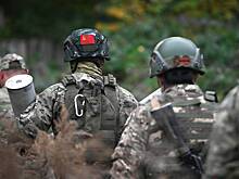 Льготы ветеранам боевых действий в 2024 году: какие положены и как оформить