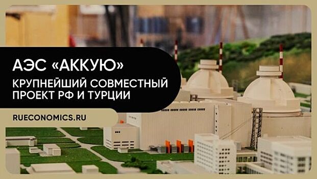 Путин: Сроки строительства АЭС "Аккую" соблюдаются, несмотря на COVID