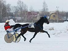 В Касторенском районе началась реставрация ансамбля Александровского конезавода