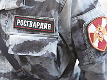Взрывы гранат и обстрел полицейских: что известно о ЧП в Мытищах
