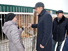 Мутовкин и Краснов проверили содержание безнадзорных животных в пензенском питомнике