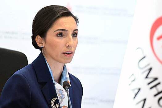 Сменивший руководителя ЦБ Турции остановил подъем ключевой ставки