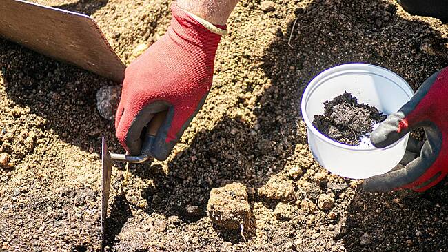 В славянском могильнике нашли необычный «талисман» Рюриковичей