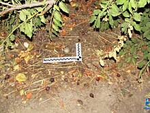 В Таганроге пресекли деятельность лаборатории синтетических наркотиков