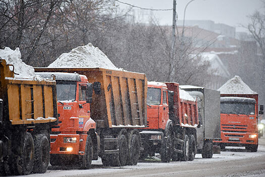 Десятки рейсов задерживаются в московских аэропортах из-за снегопада
