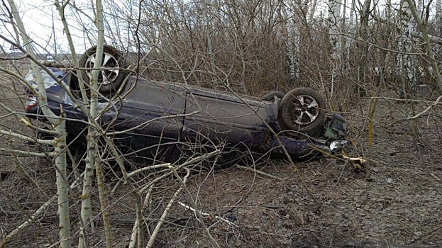 На трассе под Саратовом водитель иномарки съехал в кювет и погиб