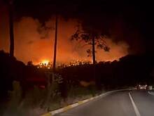 Лесные пожары достигли популярных у россиян курортов Турции и попали на видео