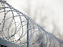 Двух заключенных, сбежавших из новосибирской колонии, задержали в Тюменской области