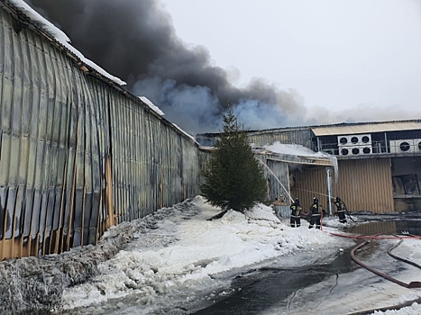 Огонь уничтожил 3000 квадратных метров на мясокомбинате в Оренбуржье