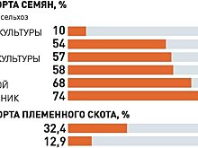 Абрамченко: Сельское хозяйство сможет дать импульс российской экономике
