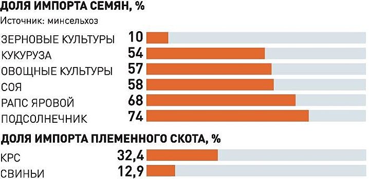 Абрамченко: Сельское хозяйство сможет дать импульс российской экономике