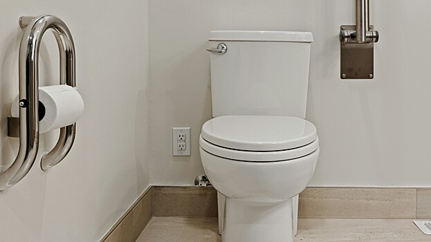 Врач Павлова: для ежедневного стула нужно есть пять продуктов