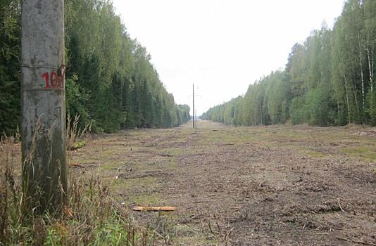 МРСК Центра и Приволжья успешно реализует программу по расчистке просек в Кировской области