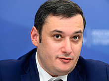 Хинштейн рассказал о результатах проверки законности заграничных поездок экс-мэра Самары и его жены