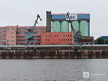 У Борского стекольного завода сменился собственник