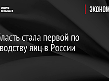 Ленобласть стала первой по производству яиц в России
