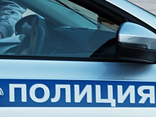 Mash: Мошенники выманили у помощницы Михалкова 250 тысяч при помощи "Википедии"