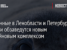 Спасенные в Ленобласти и Петербурге тюлени обзаведутся новым бассейновым комплексом