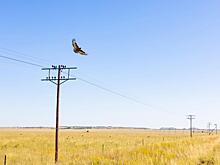 «Упадет столб, повредит машины»: приморцы в соцсетях бьют тревогу об опасности