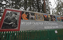 Музей-галерею Евгения Евтушенко можно будет посетить бесплатно