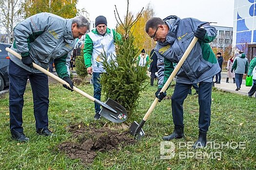 "Высадка зеленых насаждений — яркий "аккорд" этого праздника"