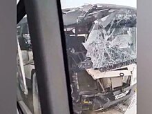 Видео с водителем автобуса, спасшим 30 пассажиров