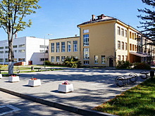 Соцсети: дочь чиновницы сколотила школьную банду