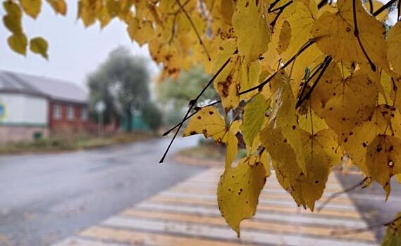 В Курске 25 октября местами пройдут небольшие дожди