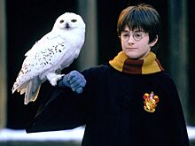 Представлен список самых популярных у россиян новогодних фильмов