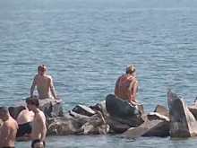 Обское море зацвело: в чем опасность?