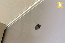 Shot: в Подмосковье крысы прогрызли натяжной потолок в квартире