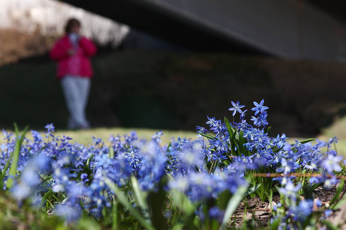 Россиянам рассказали о погоде на майские праздники