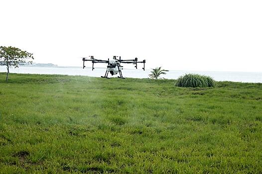 Применение дронов для опрыскивания культур регламентируют в этом году в Бразилии