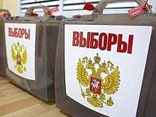 В воскресенье в Пурпе пройдут досрочные выборы главы поселения