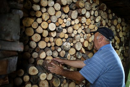 Молдавия поблагодарила Румынию за помощь в снабжении граждан дровами