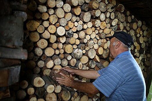 Молдавия поблагодарила Румынию за помощь в снабжении граждан дровами
