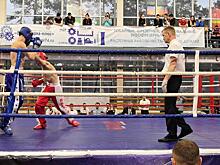 Более 20 различных наград завоевала сборная Дагестана на чемпионате и ПР по кикбоксингу