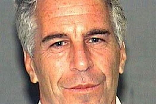 Раскрыто, как Эпштейн в переписке оценивал Владимира Зеленского