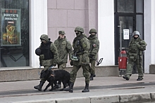 Приходили полицейские с собаками: мэрию Владикавказа «заминировали»