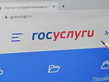 Россиянам рассказали о новом способе оплаты на «Госуслугах»