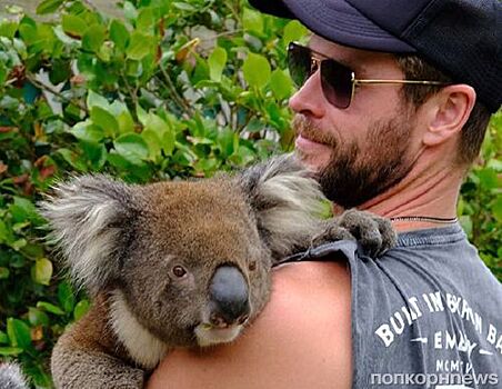 Это не новость, это просто Крис Хемсворт обнимается с коалой