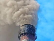 Проект по строительству мусороперерабатывающего завода в Каменке реализован не будет